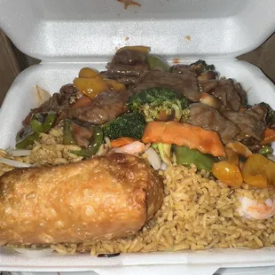 Beef and broccoli combination plate