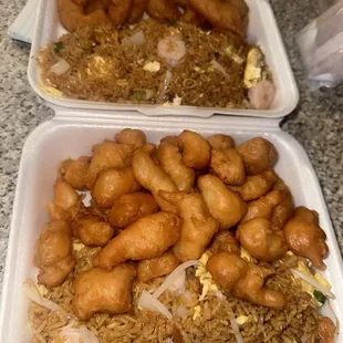 chicken, poultry, chicken wings and fried chicken, fried chicken, food, fried chicken wings, bbq chicken, chicken wings, bbq wings