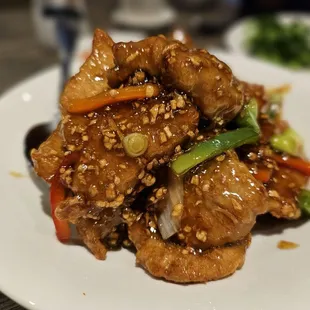 Honey garlic pork