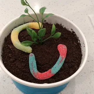 Dirt Snow Specialtie