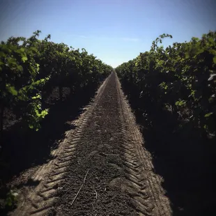 One of our favorite views.