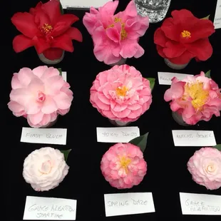 a selection of flowers