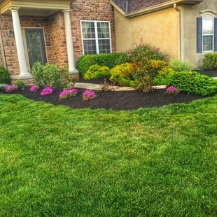 the front yard of a home