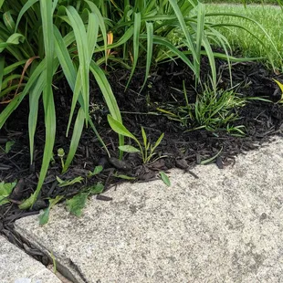 So your neighbors won't think you're trying too hard. E &amp; L keeps it super casual for only $530!