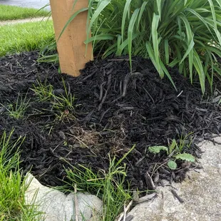 For only $530, E&amp;L lets your grass &amp; weeds hang out all summer long.