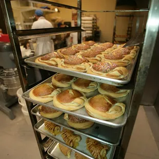 bagels, bagel, food