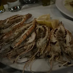 Grilled Mediterranean Langostine 10/10