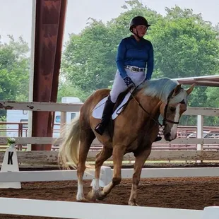 Dressage class at Sissortail Hill Equestrian May 2024.