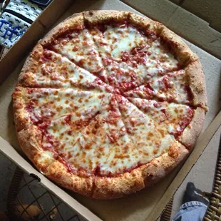 Delicious cheese pizza.