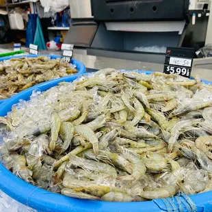a display of shrimp