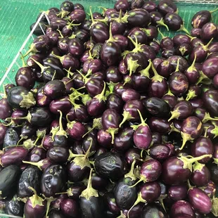 Interesting miniature eggplants