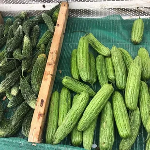 Bitter gourd