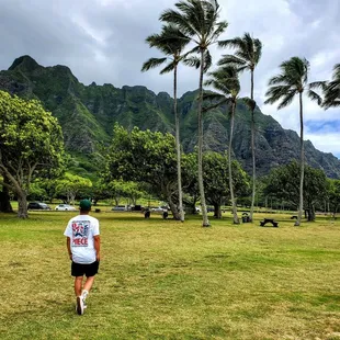 Backdrop for many movies like Jurassic Park and Kong