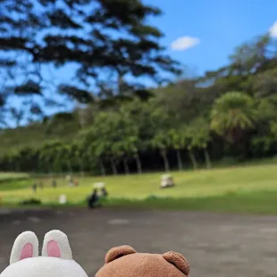 View of Moanalua Golf Course