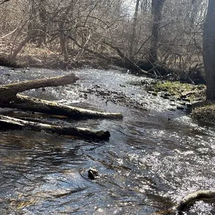 E.P. Tom Sawyer State Park