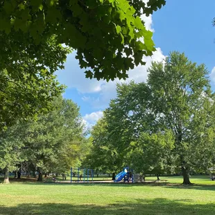 It's a beautiful day in the neighborhood