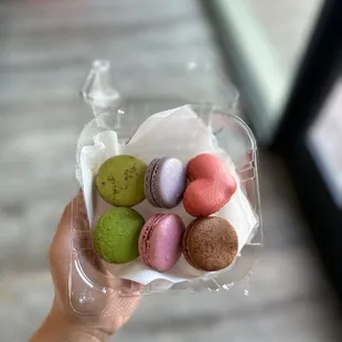a hand holding a container of macarons