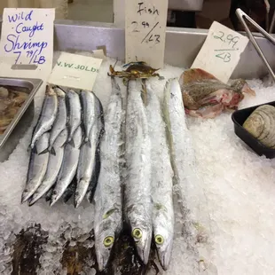 Exotic fish at e stat market