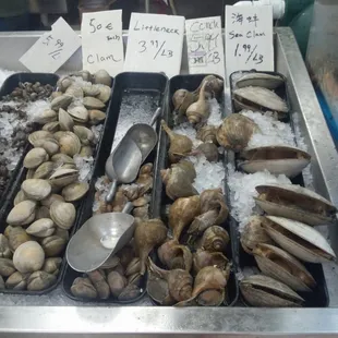 Clamshell and conch fare