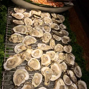 interior, oysters and mussels