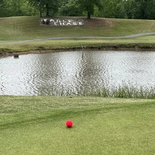 #12, 146 yard Par 3 from gold tees.