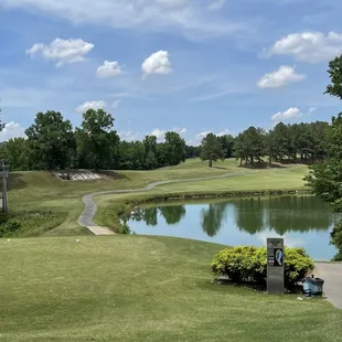 Nice and challenging shot over the pond!