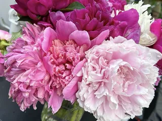 Indiana Peony Festival