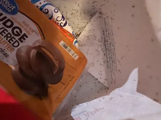 Chesapeake Campground