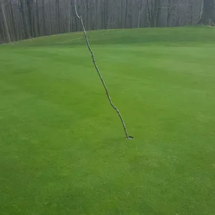 Appropriate flag stick...