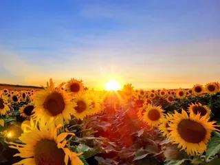 Crazy Legs Farm & Pumpkins