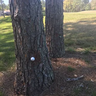 Hole 16