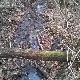 half way through there is a ditch that runs through