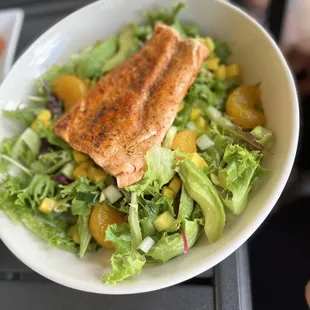 Salmon fish salad