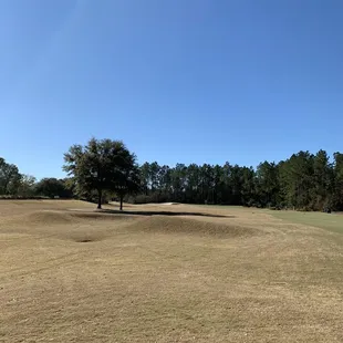 Hole 11. #nofilter 12/28/2020
