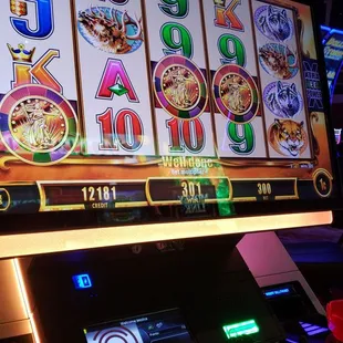 Buffalo bonus games!