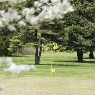 Eagle Pines Golf Club