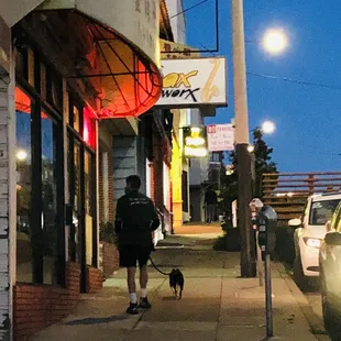 a man walking his dog
