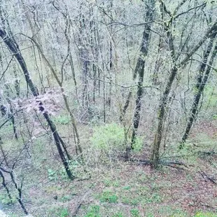 View down from outside deck