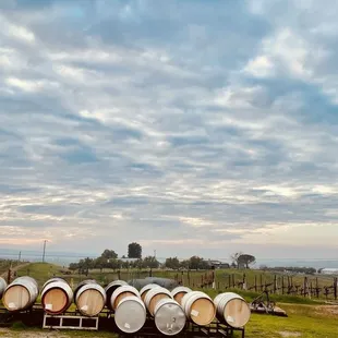 Eagle Ridge Vineyard