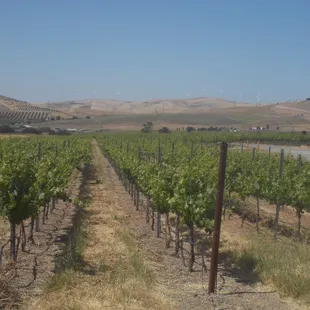 view from their informal outdoor seating area.  take a deep breath, absorb, repeat.