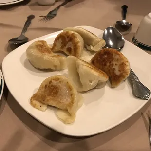 Pan Fried Pork Dumplings