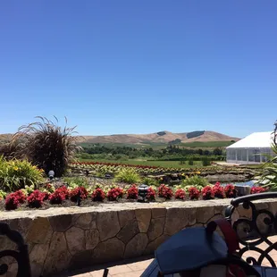 Patio view. So pretty.