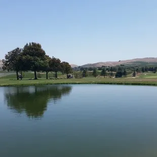 View from outdoor patio