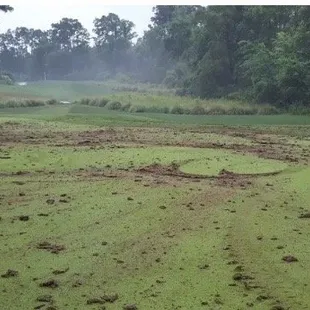 Eagles Landing Golf Course