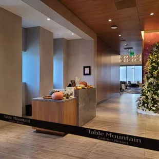 lobby with christmas tree