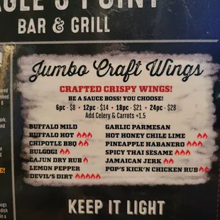 Jumbo Craft Wings