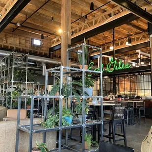 The bar is at the back &amp; the plants are displayed in these industrial shelves to break up the huge space