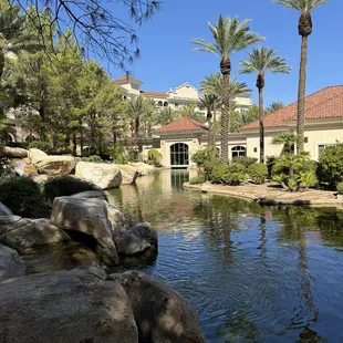 oysters and mussels, outside