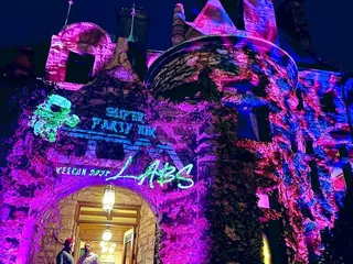 The Van Dusen Mansion