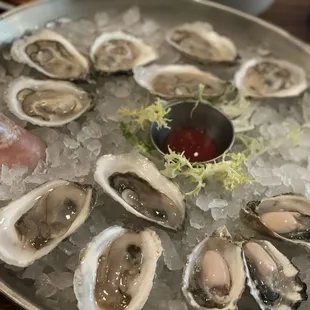 mussels, food, oysters, oysters and mussels, shellfish